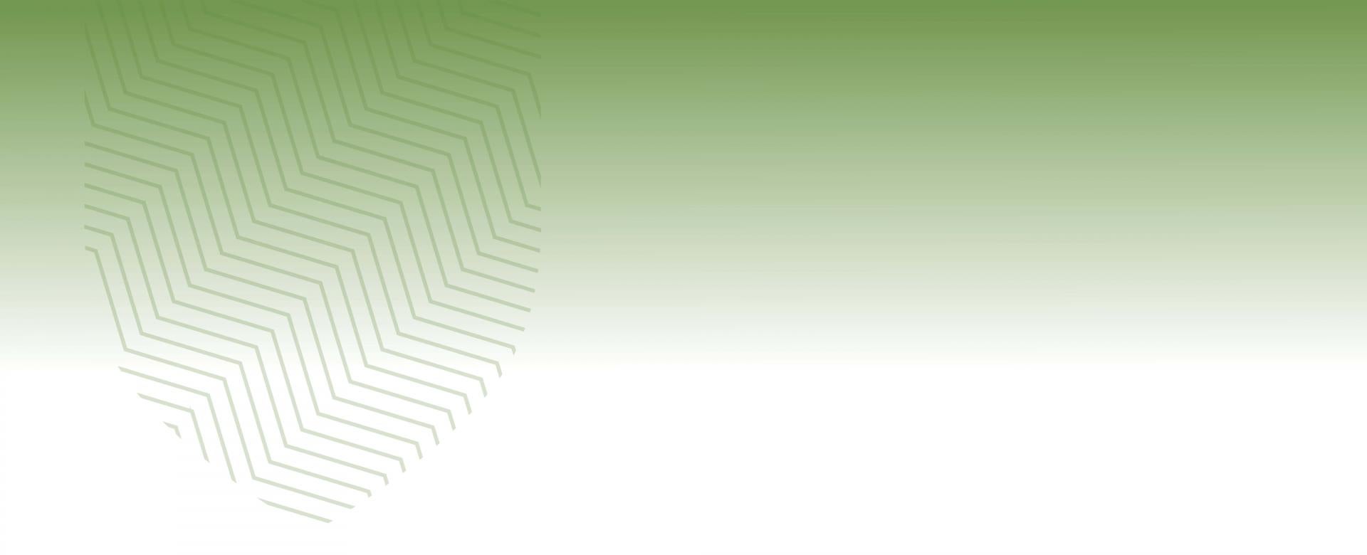 CF Community College Council