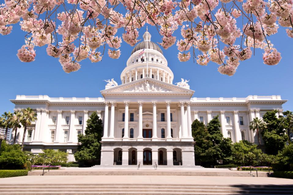 State Capitol welcomes spring with cherry blossums