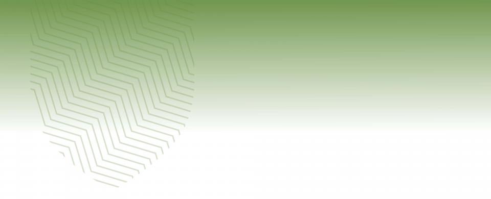 CF Community College Council
