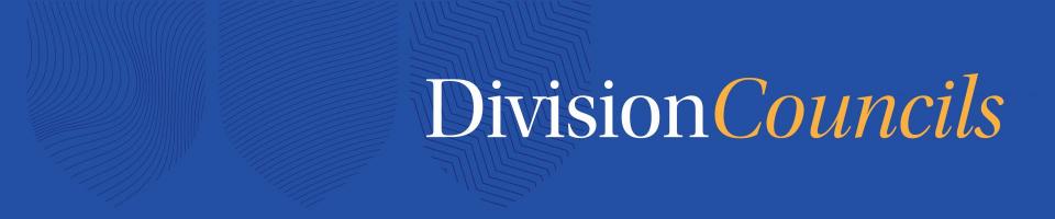 Division Councils banner